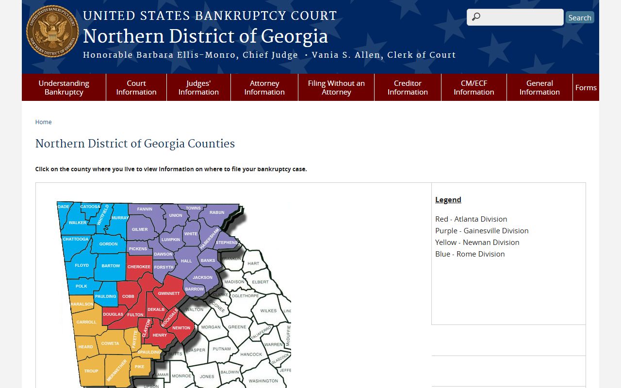 Northern District of Georgia bankruptcy county filing page including Henry County